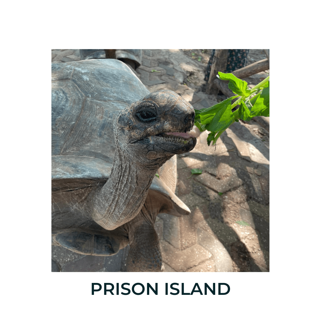 PRISON ISLAND