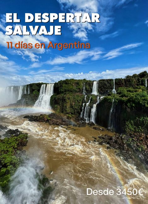 EL DESPERTAR SALVAJE PORTADA