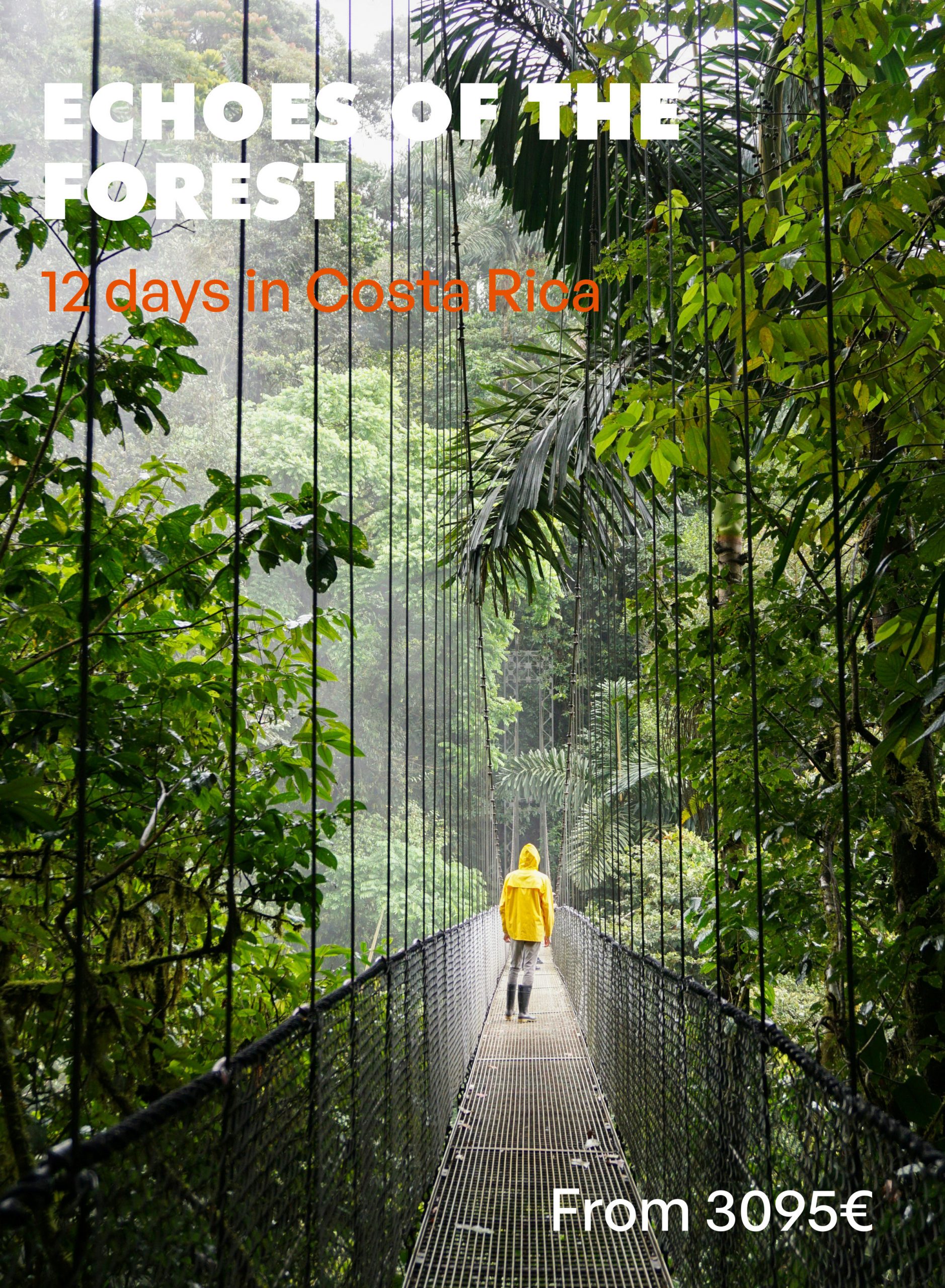 ECHOES OF THE FOREST