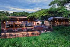 Ngorongoro Lion´s Paw